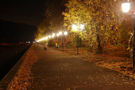 夜间快照.有长凳的小巷.路灯的亮黄色灯光.小径延伸到远处.照片