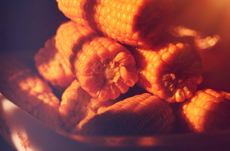 阳光下煮玉米的特写照片，复古风格的照片，美味的蔬菜，感恩节的传统大餐