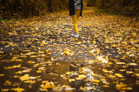 金秋，阳光下黄树，脚下树叶..穿过美丽的秋天森林，骑自行车穿过黄色的森林和金色的小巷