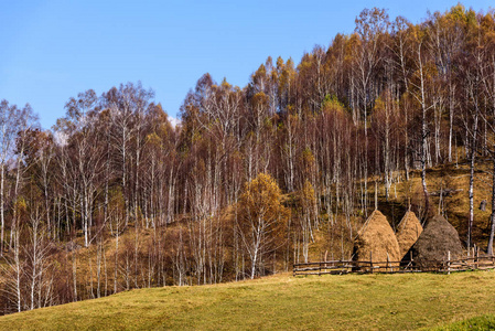 秋天的风景在山上用一叠干草。传统干草堆，罗马尼亚典型的农村场景。