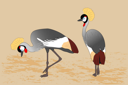 鹤卡通图片-鹤卡通素材-鹤卡通插画-摄图新视界