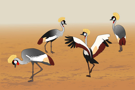 卡通丹顶鹤图片