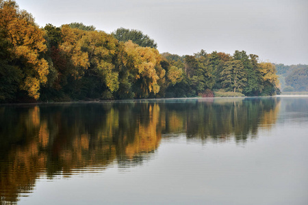 波兰秋天湖边一片落叶林