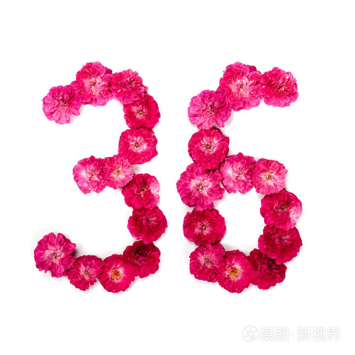 数字36来自白色背景上红色和粉红色玫瑰的花. 用于设计的印刷元素.