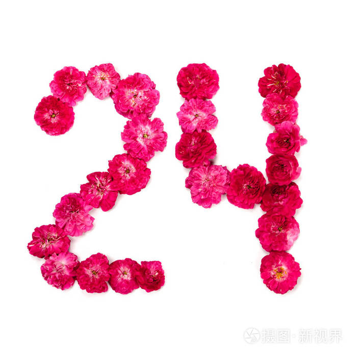 数字24从红色和粉红色玫瑰花在白色背景上 用于设计的印刷元素 花号日期隔离照片 正版商用图片13lyf2 摄图新视界 数字24从红色和粉红色玫瑰花在白色背景上 用于设计的印刷元素 花号日期隔离照片 正版商用图片13lyf2 摄图新视界