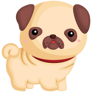 纯正一只狗,有一种纯正的狗照片