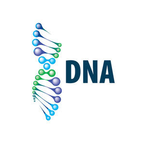 在螺旋 Dna 的形状上签名。向量例证