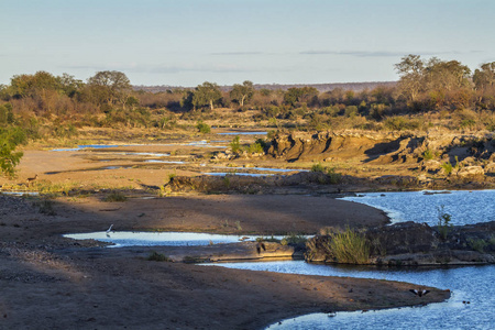 南非克鲁格国家公园Swingwedzi河