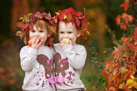 美丽的小双胞胎女孩在秋天的花园里拿着苹果。 小女孩在玩苹果。 蹒跚学步的孩子在秋天收获时吃水果。 健康的营养。 儿童秋季活动。 