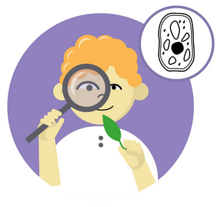 小学生的平面圆形头像.我最喜欢的学科是生物学照片