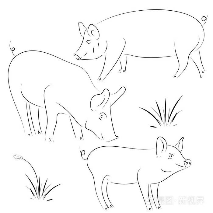 猪的素描画猪和猪肉猪符号标志图标轮廓设计