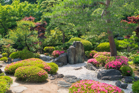 小山上五颜六色的美丽花园。