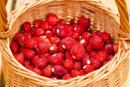 草莓植物。多汁的红色，成熟的，美味的草莓浆果，放在草篮里。夏季场景