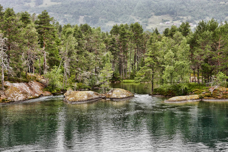 s summer Norwegian landscape