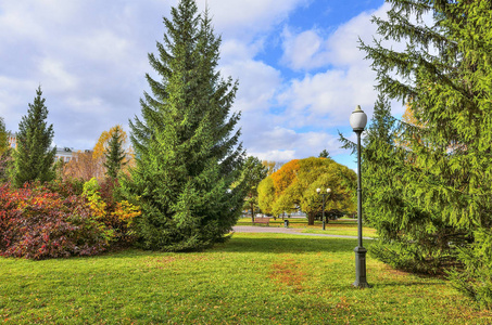 秋季城市公园绿草坪周围针叶树和落叶树及灌木丛的多色叶。 晴朗的十月天气，蓝天白云，美丽的秋天自然景观