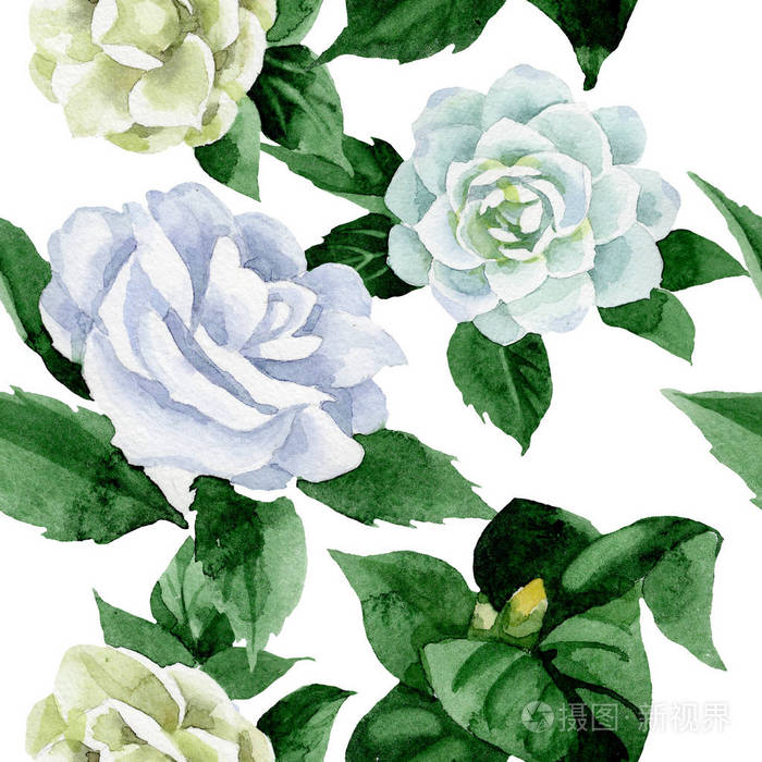 水彩白色卡米娅花 花卉植物花 无缝背景图案 织物壁纸印花纹理 背景纹理包装图案框架或边框的水花野花 照片 正版商用图片13mfrs 摄图新视界 水彩白色卡米娅花 花卉植物花 无缝背景图案 织物壁纸印花纹理 背景纹理包装图案框架或边框的水花野花 照片 正版商用图片13mfrs 摄图新视界