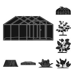 温室和植物标志的孤立对象。温室和花园股票矢量图集