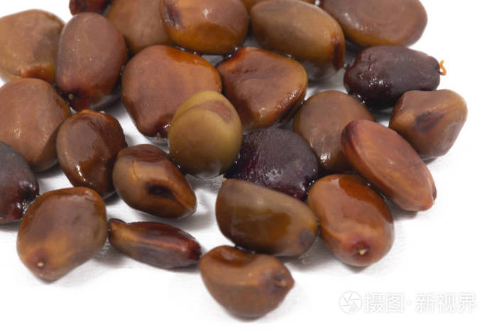关闭在白色背景上分离的carob水果种子的视图