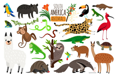 南美洲动物分布图图片
