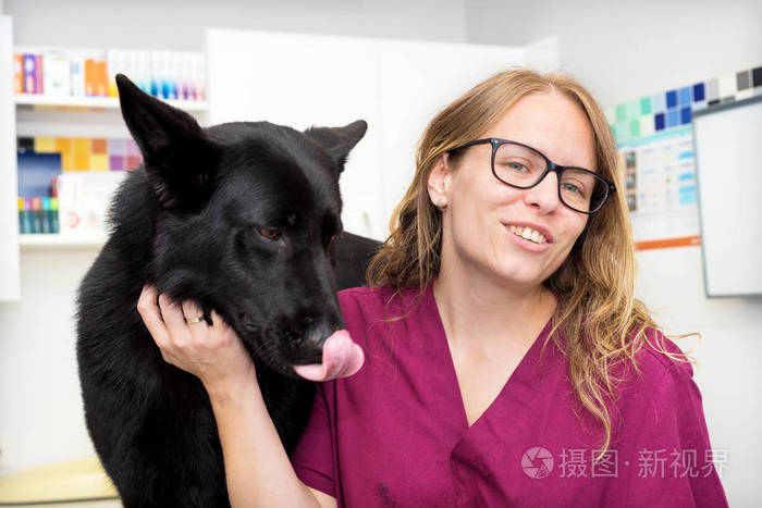 兽医诊所的医生带着一只漂亮的狗微笑