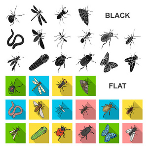 不同种类的昆虫在集合中的平面图标设计。昆虫节肢动物向量等距符号股票 web 插图