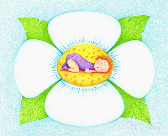 用彩色铅笔画宝宝睡在花上的图画