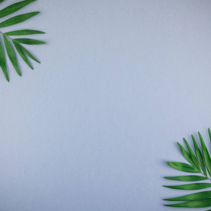 创意平面布局顶部绿色热带棕榈叶在蓝色灰纸背景与复制空间。 最小热带棕榈叶植物夏季广场概念模板，您的文本或设计