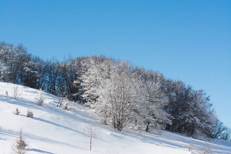 有雪的冬季景观。 campfelice