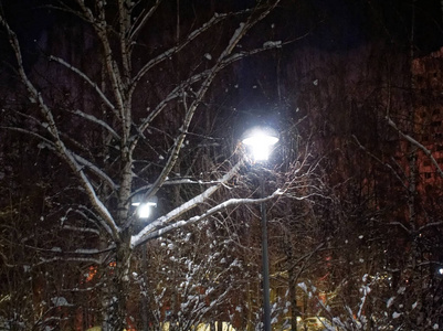 夜晚的路灯在冬天