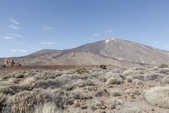 泰德国家公园特内里夫岛的泰德火山前植被稀少的沙漠景观