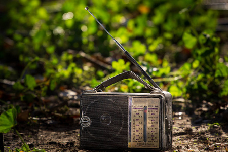 绿草中的旧收音机接收器。