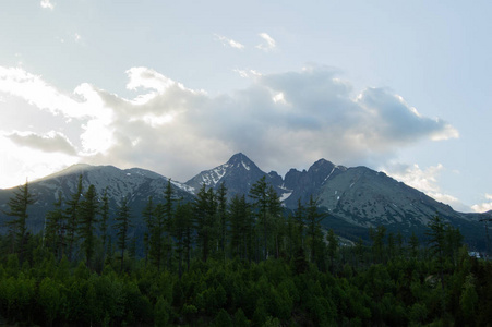 蓝天下的松树和山