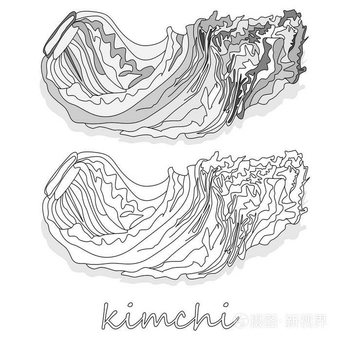 泡菜传统韩国食品. 白色的插图.插画-正版商用图片13my02-摄图新视界