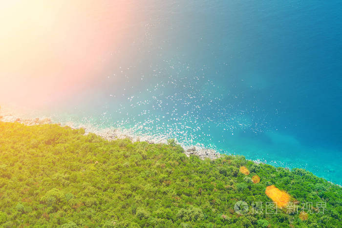 阳光下靠近大海的绿色森林,俯视