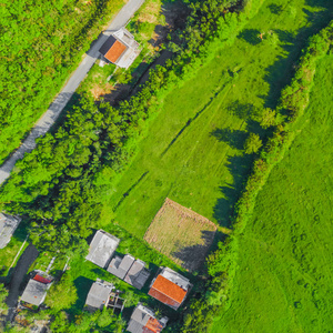 草地上有红色瓷砖屋顶的村庄房屋的俯视图