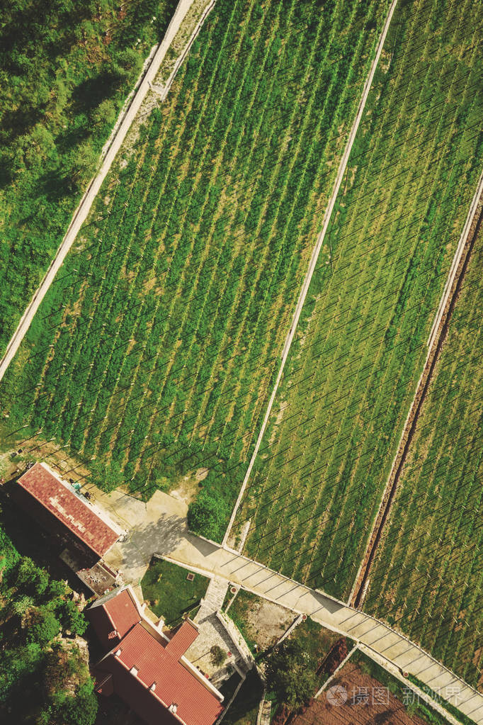 一座有红色瓷砖屋顶和绿色农田的房子的俯视图.划