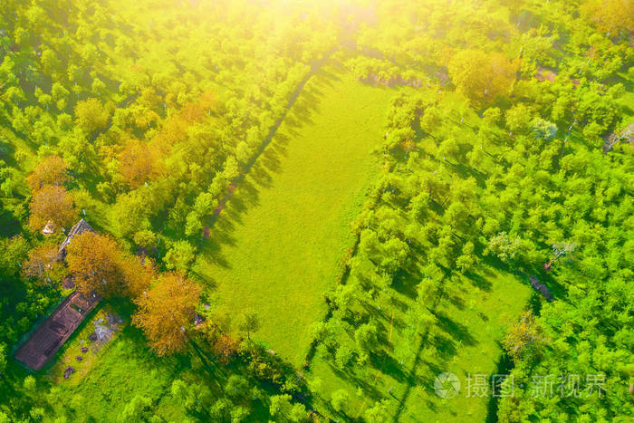 阳光下绿色果树和草坪的俯视图照片-正版商用图片13n3ge-摄图新视界