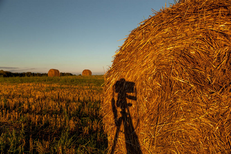 日落田野里的干草堆照片