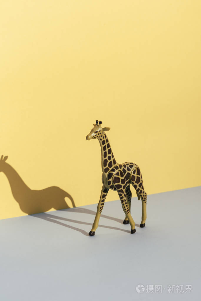 塑料玩具长颈鹿在黄色和蓝色的背景上投射它的影子