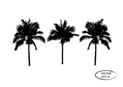 矢量热带棕榈树剪影图标隔离在白色背景上。 椰子树平面图标的度假应用程序和网站。 eps10