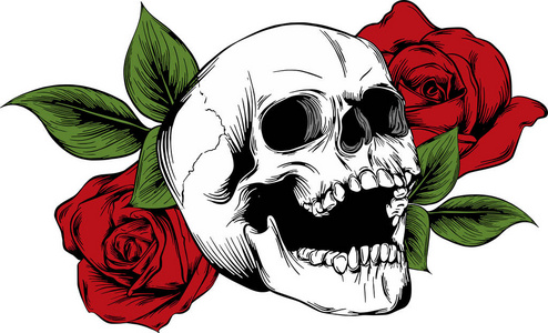 有花有玫瑰的骷髅头.手绘.矢量照片