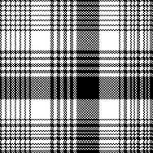 黑白织物纹理检查格子无缝图案. 矢量图.照片