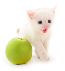 白色的小猫和苹果孤立在白色的背景上。