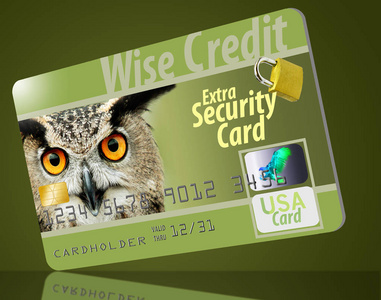 一个聪明的猫头鹰盯着一张信用卡，里面有安全功能，包括全息图EMV芯片等等。 安全是明智的。