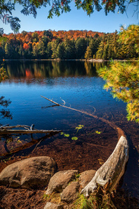 安大略省公园一个湖的秋景
