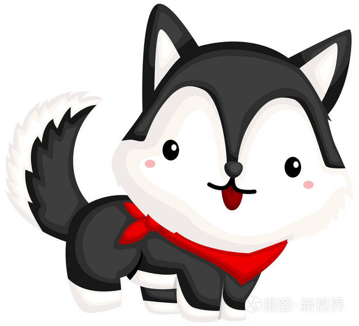 一只快乐可爱的狮子狗纯种狗