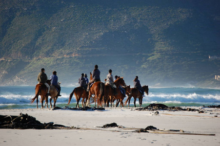 一群骑马的人在海滩上慢慢地沿着南非开普敦的海滩骑着马，海浪海洋和山脉