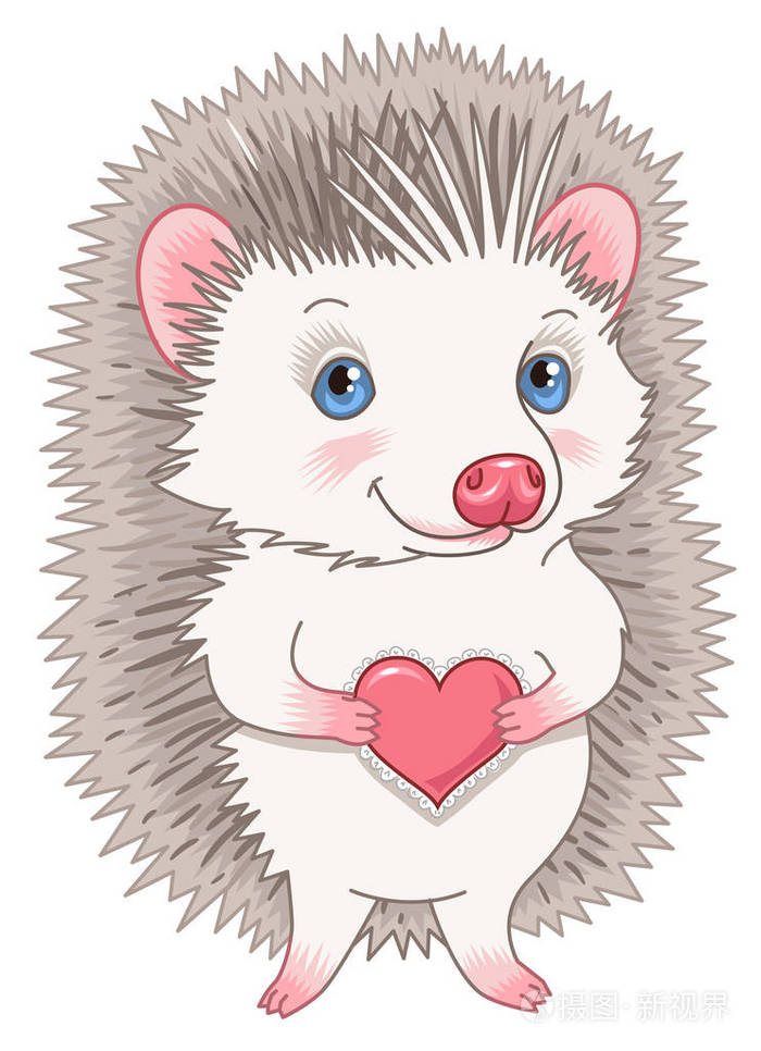 可爱的刺猬相爱抱着一颗心白色背景上孤立的卡通人物