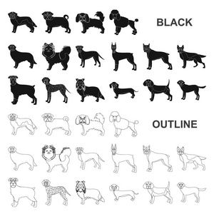狗滋生黑色的图标集收集设计。狗宠物矢量符号股票网页插图