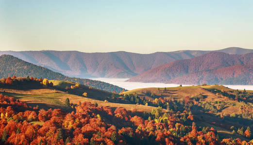 秋天的群山使山谷中的树木变黄，五彩缤纷，景色优美